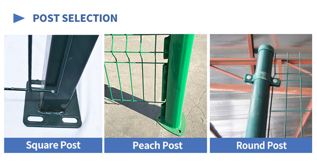 Il PVC amichevole di ECO ha ricoperto il cavo Mesh Fence che 3D ha curvato il recinto saldato sicurezza 1