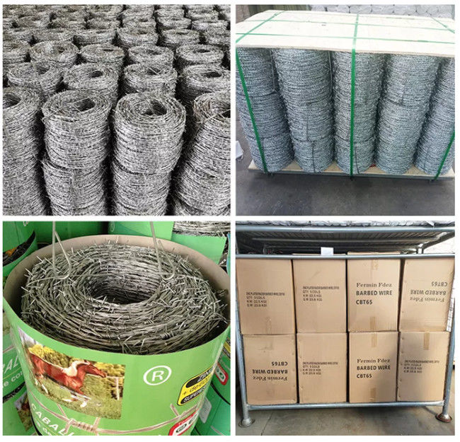 Il PVC verde ha ricoperto il filo spinato decorativo di 4 punti 2 della treccia del filo 2