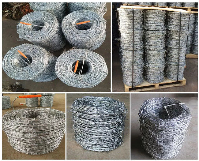 Il PVC verde ha ricoperto il filo spinato decorativo di 4 punti 2 della treccia del filo 0