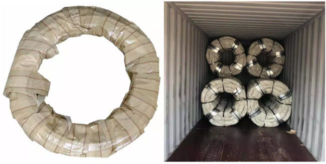 Salita galvanizzata immersa calda del filo spinato del rasoio di acciaio inossidabile Bto 12 anti 3