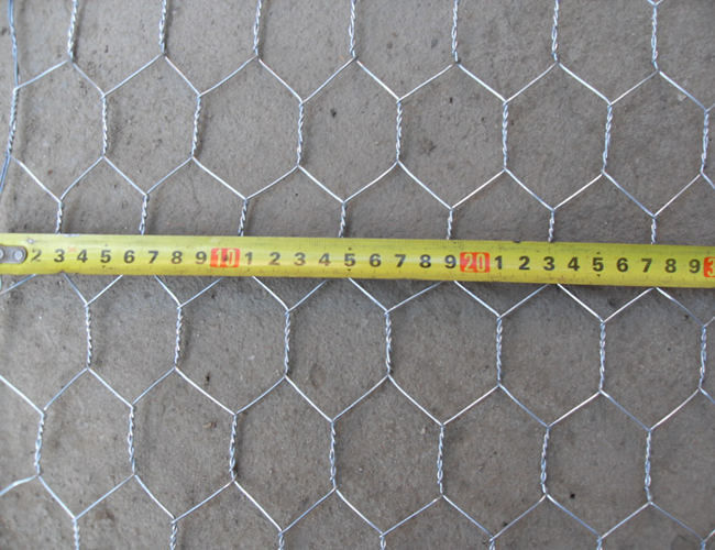 Foro esagonale galvanizzato immerso caldo del calibro 25mm di Mesh Fence 22 del pollo 0