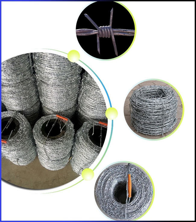 13x14 15x15 ha galvanizzato l'anti filo di ferro dell'alcali del filo spinato 0