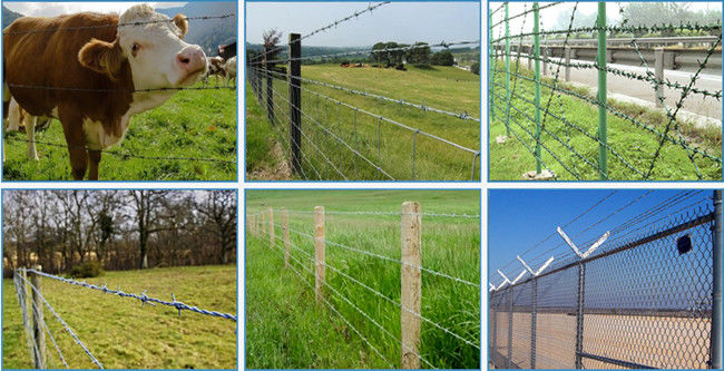 25kg 3.5mm Dia Galvanized Steel Barbed Wire 4 punti ad alta resistenza 1