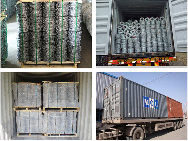 25kg 3.5mm Dia Galvanized Steel Barbed Wire 4 punti ad alta resistenza 2