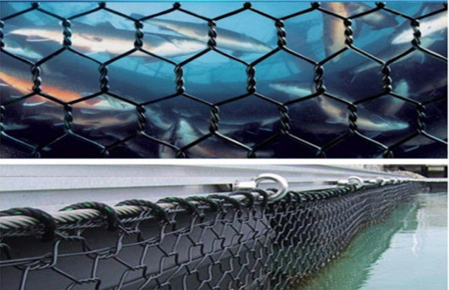 gabbione Mesh Basket Polyester Kikko Net di 3×4cm 5x6cm per l'allevamento di alto mare del pesce 1
