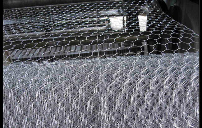il PVC esagonale galvanizzato 4ft della rete metallica del pollame ha ricoperto il cavo di pollo BWG 12 0