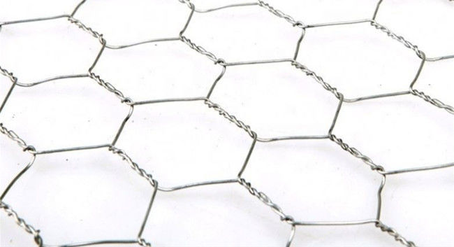 Larghezza esagonale di Mesh Fence Q195 0.5m del pollo di HDG per pollame 0