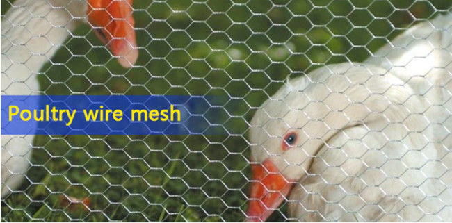 3ft×150ft cavo di pollo di 19 calibri Yardgard Mesh Poultry Netting a 2 pollici 1