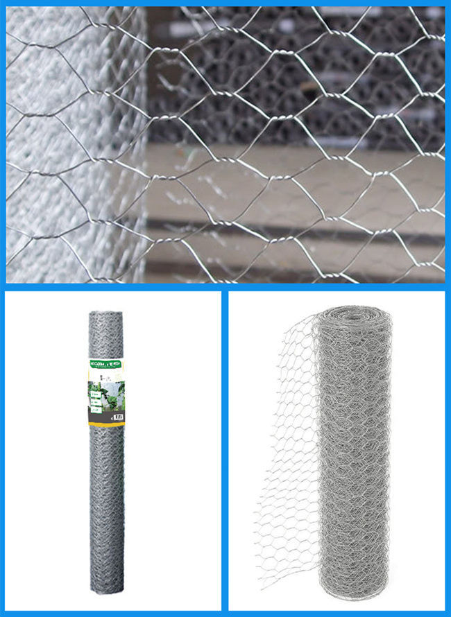 ruggine di iso 9001 esagonali a 2 pollici di 1.4mm Mesh Chicken Wire Netting Galvanised anti 0