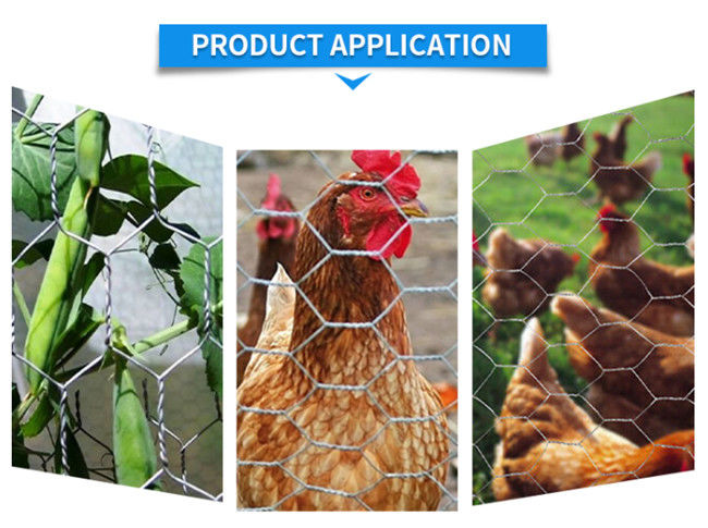 il pollo Mesh Fence della sfortuna di 1/2nell'inverso di 100ft x di 2ft BWG 27 ha torto 1