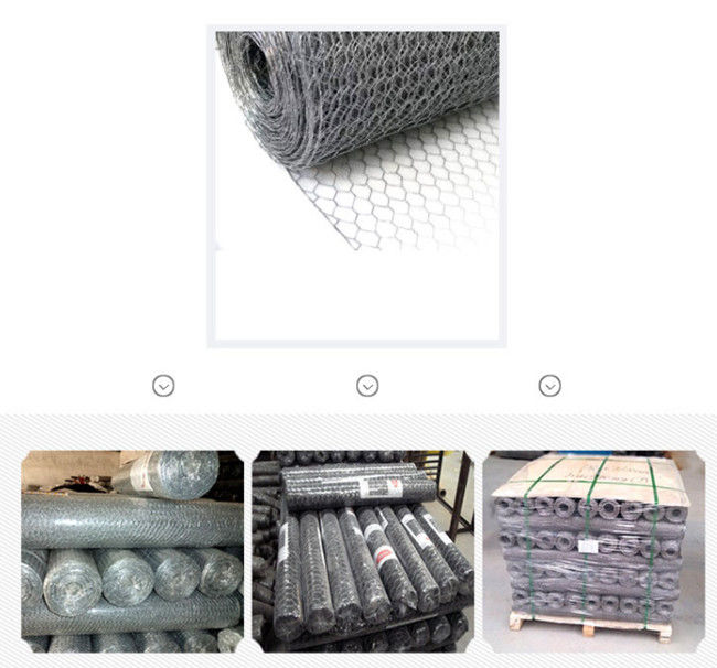 Cavo di pollo dell'argento 100ft di BWG 24 Mesh Fence Electro Galvanized Hexagonal 2