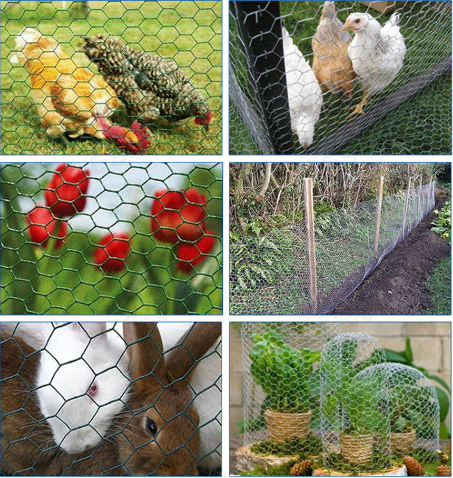 alto cavo di pollo galvanizzato 0.42mm di 1.2m Mesh Fence For Rabbits Cage 1