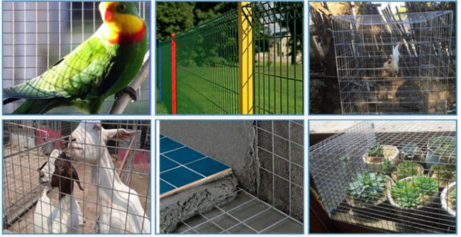 Il PVC giallo di 6m ha ricoperto il foro di quadrato saldato galvanizzato di Mesh Panels Q195 del cavo 1