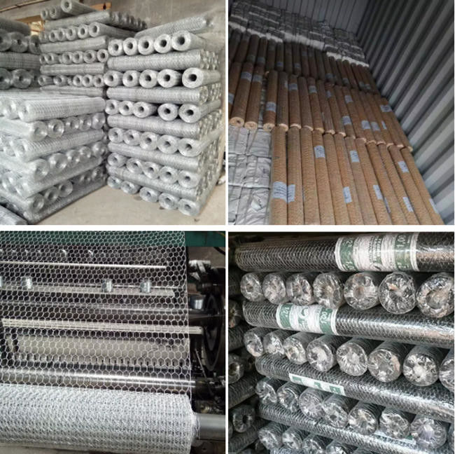 Pollo galvanizzato Mesh Fence, reticolato esagonale dell'azienda agricola Bwg27 del pollame 1