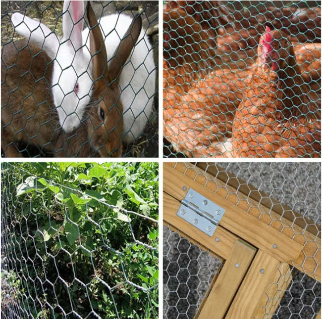 Rete metallica esagonale galvanizzata della rete metallica del pollo della trappola del pesce dell'aragosta del granchio 0