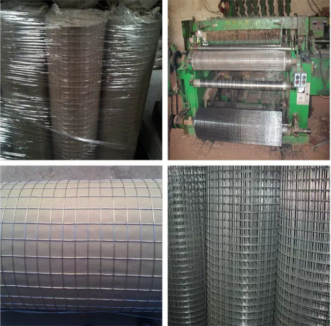 La gabbia per uccelli saldata a 1/4 pollici del cavo riveste il panno di pannelli dell'hardware galvanizzato 1